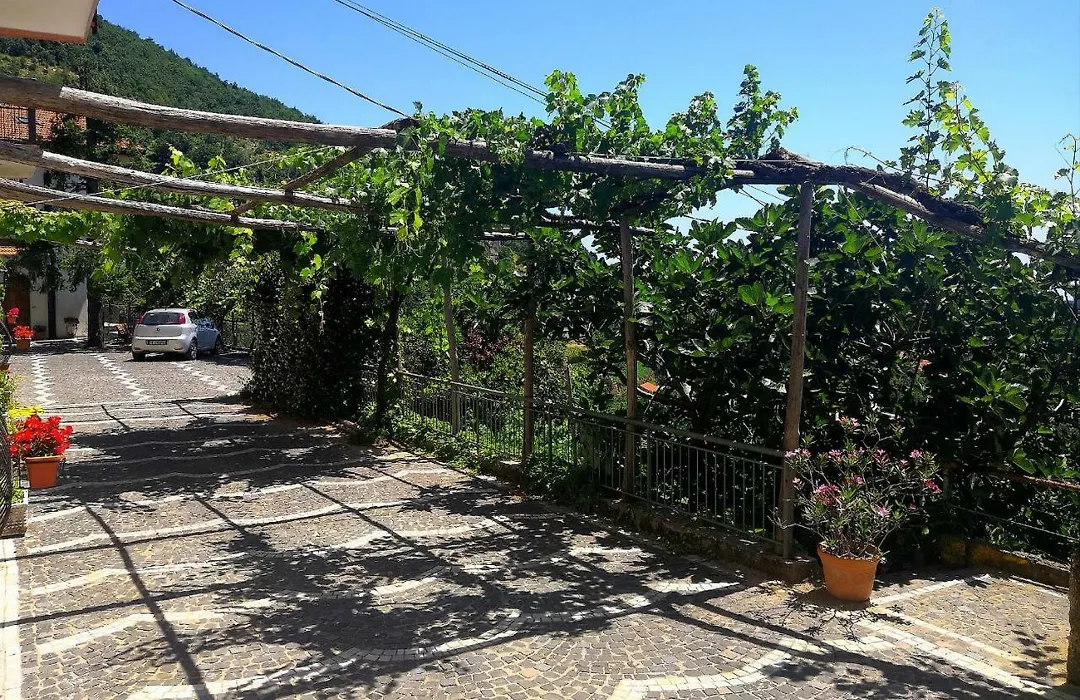 Agriturismo Il Castagno-1